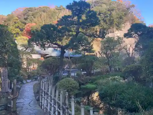 光触寺の庭園