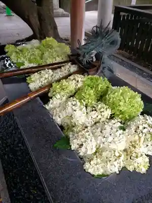 熊野神社(東京都)