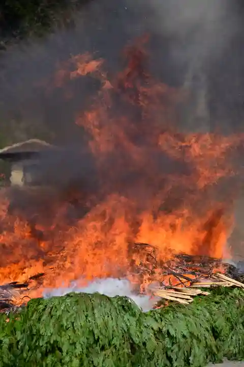 高尾山薬王院のお祭り