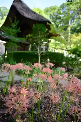 横浜　西方寺(神奈川県)