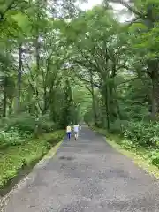 戸隠神社奥社(長野県)