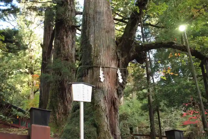 日光二荒山神社のその他建物
