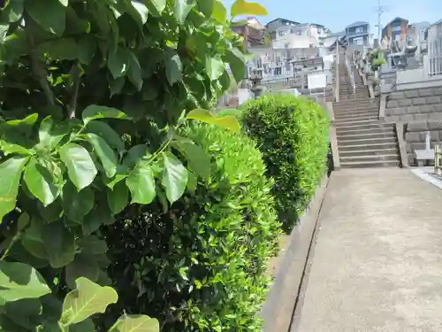 妙福寺(神奈川県)