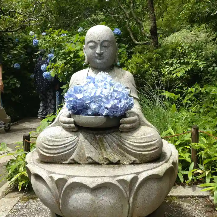 明月院(神奈川県)