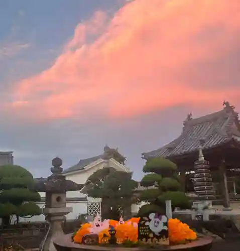 真言宗　善通寺派　薬王寺(香川県)