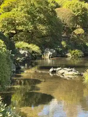 根津神社の{uncategorized: "未分類", other: "その他", undefined: "問題あり", building: "その他建物", grave: "お墓", sacred_gate: "鳥居", guardian: "狛犬", statue: "像", buddha: "仏像", history: "歴史", nature: "自然", garden: "庭園", animal: "動物", pagoda: "塔", temizu: "手水舎", mountain_gate: "山門・神門", sanctuary: "本殿・本堂", subordinate: "末社・摂社", art: "芸術", scenery: "景色", jizo: "地蔵", ema: "絵馬", goshuin: "御朱印", omikuji: "おみくじ", items: "授与品その他", amulet: "お守り", goshuincho: "御朱印帳", eats: "食事", festival: "お祭り", votive_dance: "神楽", shichigosan: "七五三参", wedding: "結婚式", experience: "体験その他", initially: "初詣", around: "周辺", anti_infection: "感染症対策"}
