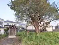 浅間神社の自然