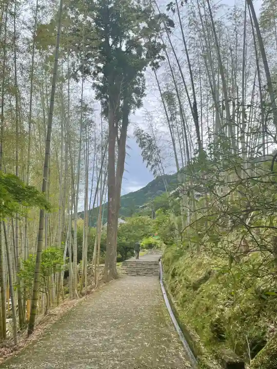 熊野那智大社(和歌山県)