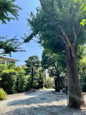 遍照寺(神奈川県)