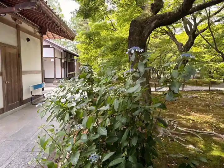 東福禅寺(東福寺)(京都府)
