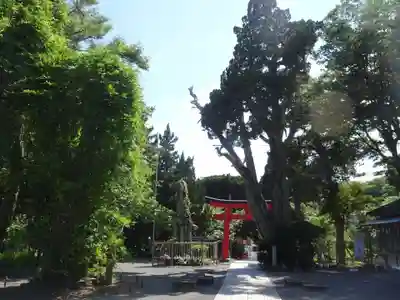 伊古奈比咩命神社(静岡県)