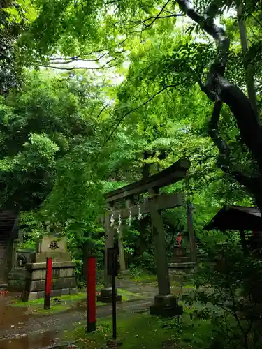 赤坂氷川神社(東京都)