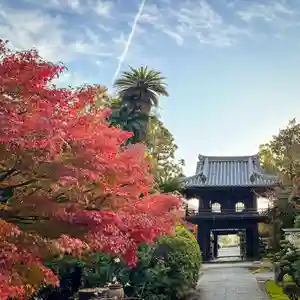 伊勢の国 四天王寺(三重県)(2024年12月04日(水) 14時51分52秒投稿)