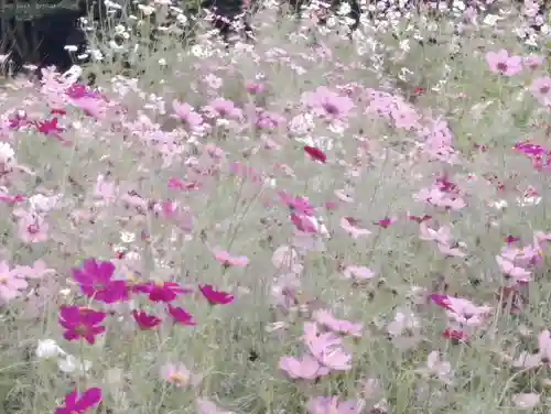 阿邪訶根神社(福島県)