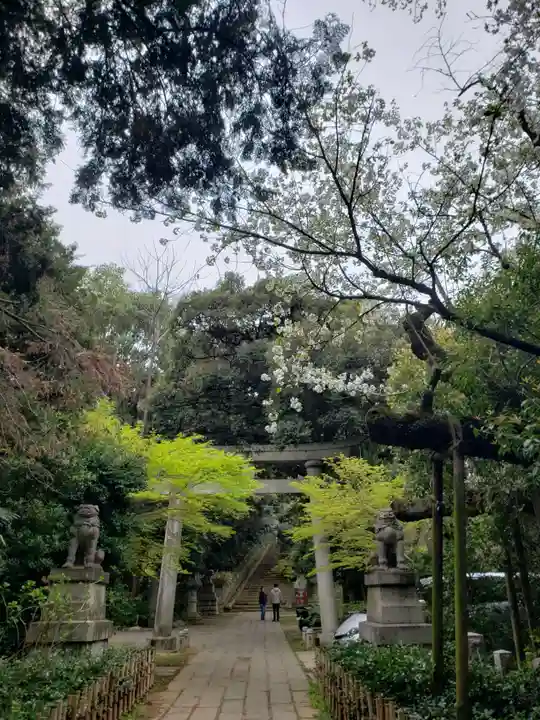 赤坂氷川神社(東京都)