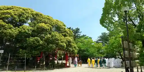 市原稲荷神社の体験その他