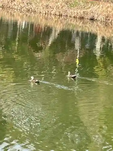鞆江神社（明地）(愛知県)