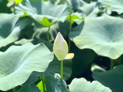 雲龍山 本證寺(愛知県)