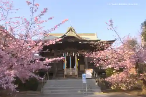 桜神宮の本殿・本堂