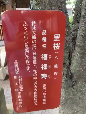 七社神社の歴史