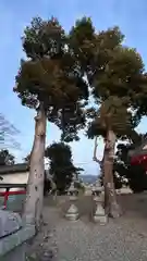 岡田鴨神社(京都府)