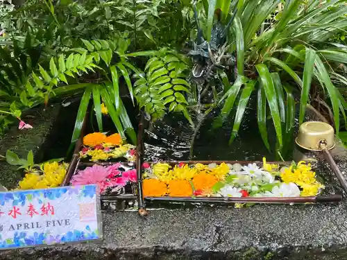 武田神社(山梨県)