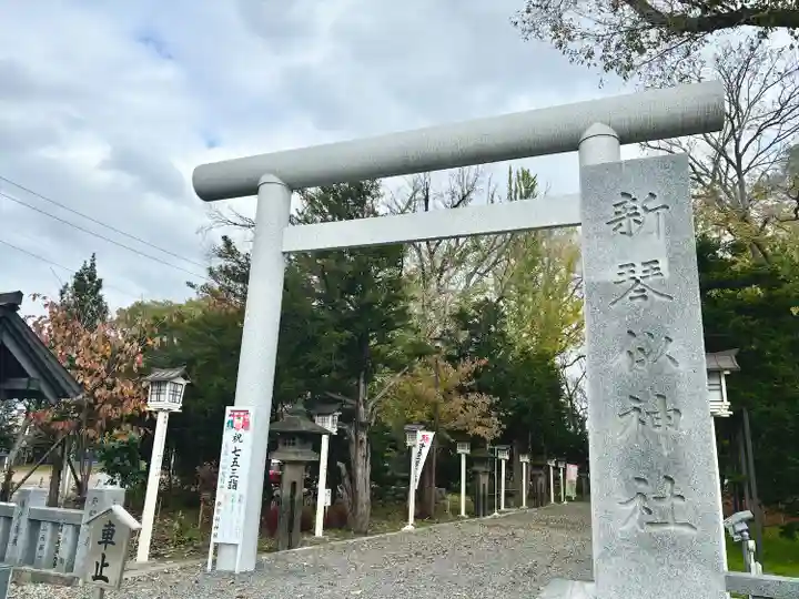 新琴似神社の七五三参