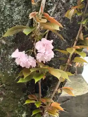 長専院不動寺(出世不動尊)(東京都)