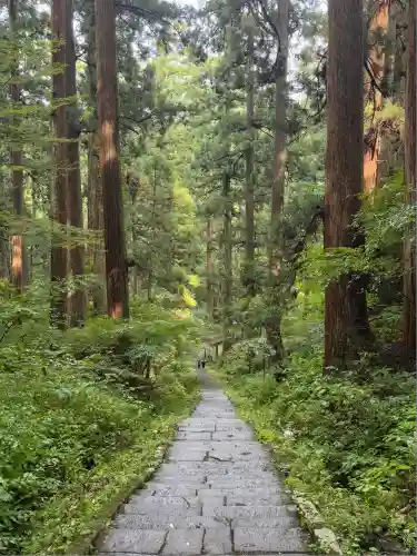 羽黒山五重塔(出羽三山神社)(山形県)