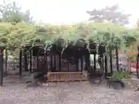 葛井寺(大阪府)