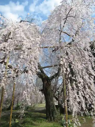 慶龍寺(茨城県)