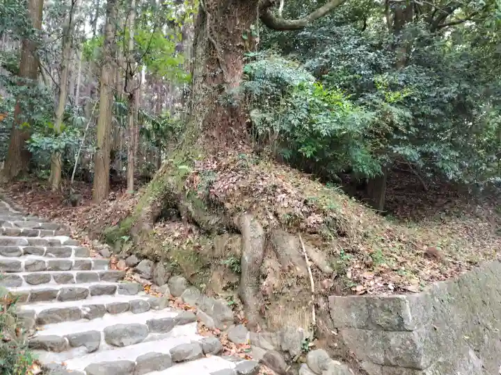 貴船神社(大神神社末社)の{uncategorized: "未分類", other: "その他", undefined: "問題あり", building: "その他建物", grave: "お墓", sacred_gate: "鳥居", guardian: "狛犬", statue: "像", buddha: "仏像", history: "歴史", nature: "自然", garden: "庭園", animal: "動物", pagoda: "塔", temizu: "手水舎", mountain_gate: "山門・神門", sanctuary: "本殿・本堂", subordinate: "末社・摂社", art: "芸術", scenery: "景色", jizo: "地蔵", ema: "絵馬", goshuin: "御朱印", omikuji: "おみくじ", items: "授与品その他", amulet: "お守り", goshuincho: "御朱印帳", eats: "食事", festival: "お祭り", votive_dance: "神楽", shichigosan: "七五三参", wedding: "結婚式", experience: "体験その他", initially: "初詣", around: "周辺", anti_infection: "感染症対策"}
