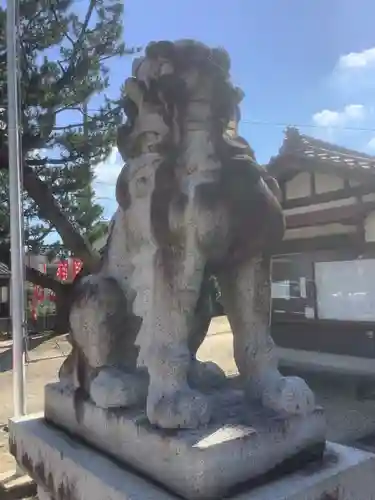 新田白山神社の狛犬