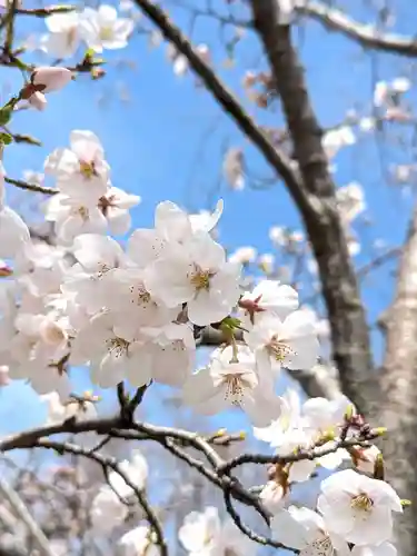 星田妙見宮(大阪府)