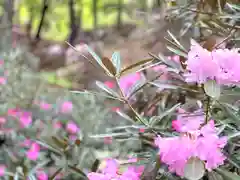 常光寺の自然