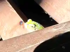 菱野健功神社の動物