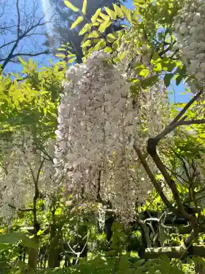 歌泉堂（春日大社神苑萬葉植物園内鎮座）(奈良県)