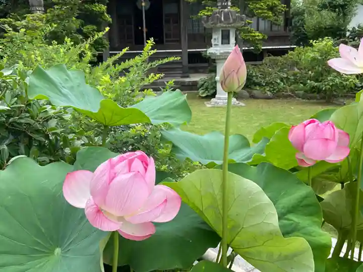 宝金剛寺(神奈川県)