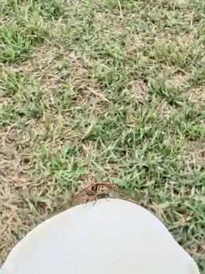 白狐山光星寺(山形県)