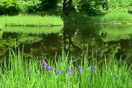 郡殿の池弁財天社(新潟県)