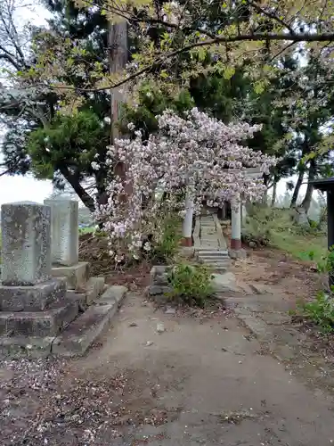 犬の宮猫の宮(山形県)