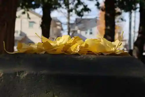 晴門田神社の自然