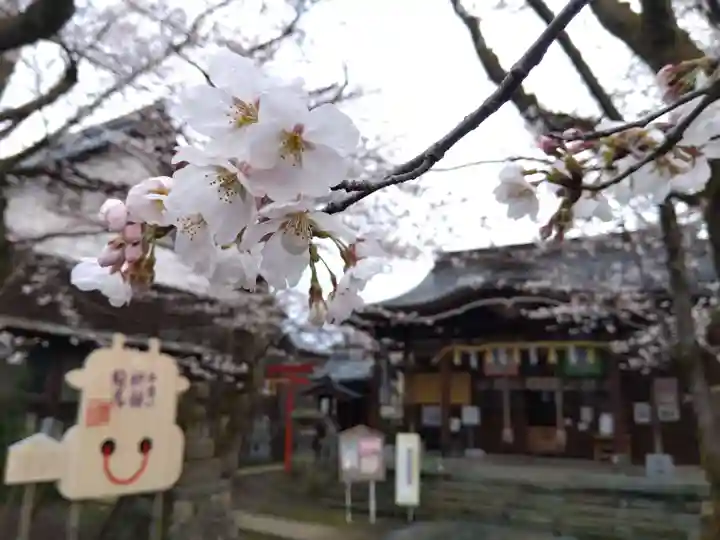 湊八幡神社(福井県)
