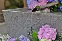 高司神社〜むすびの神の鎮まる社〜の手水舎