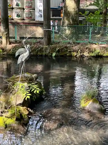 諏訪大社(長野県)
