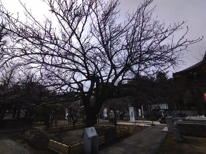 輪王寺両大師堂(寛永寺輪王殿)(東京都)