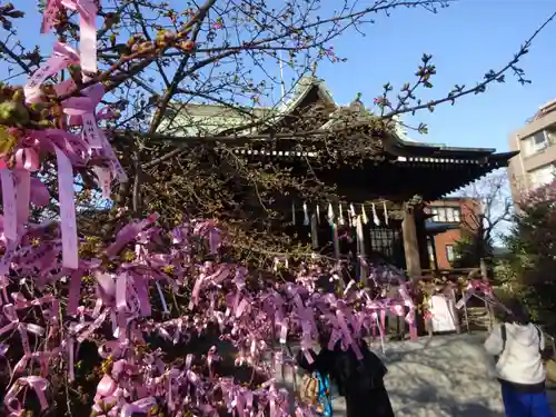 桜神宮の本殿・本堂