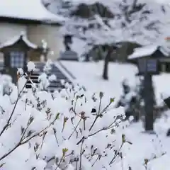 土津神社｜こどもと出世の神さまの自然