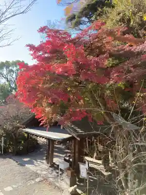鎌倉宮(神奈川県)