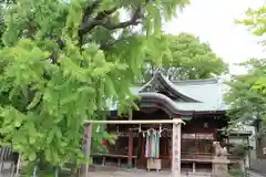 白山神社の本殿